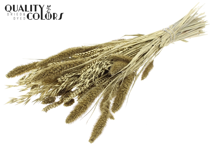 <h4>Dried Flower mix bunch Gold</h4>