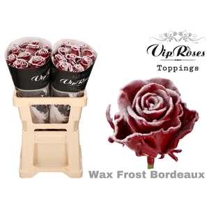 R GR WAX FROST BORDEAUX (60CM)