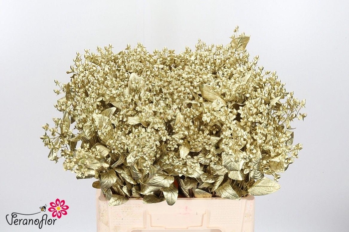 <h4>HYP OV KLB H%</h4>