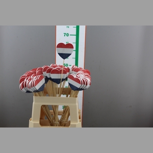 ,,DIV EXAMEN LOVE VLAG