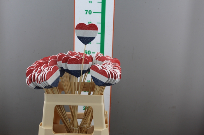 ,,DIV EXAMEN LOVE VLAG