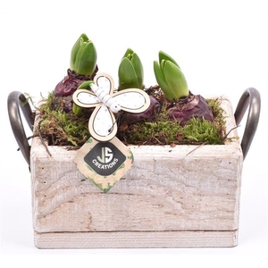 Hout rechthoek met handvat 20x13cm