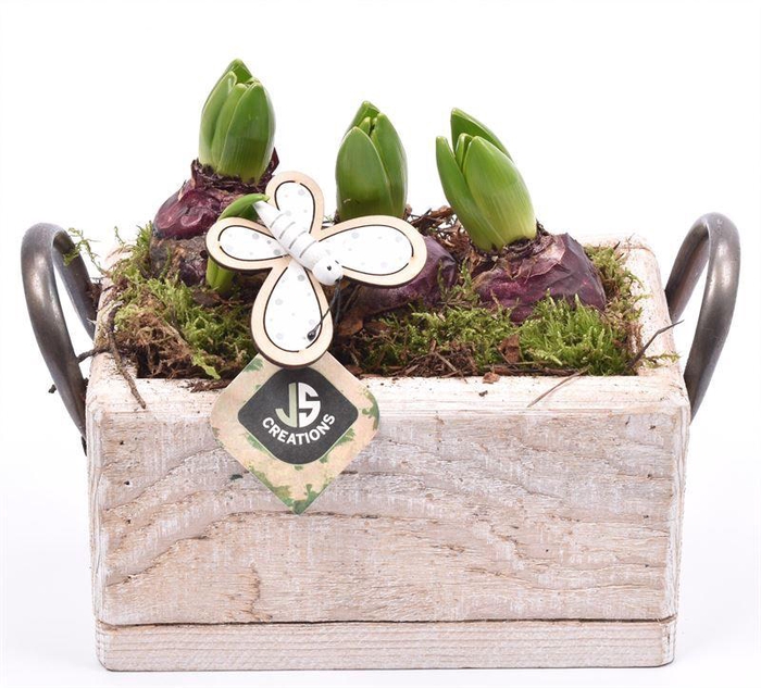 <h4>Hout rechthoek met handvat 20x13cm</h4>