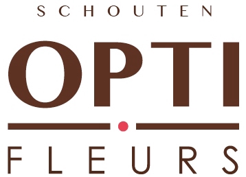 <h4>GE GR GEM 2 KL-DOOS</h4>