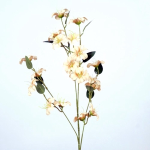 AF Blossom Meadow L87cm cream