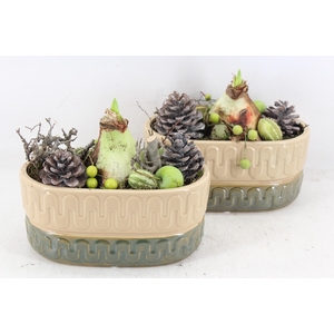 arr4 Amaryllis PL - Ker. groen/beige ovaal 335/4