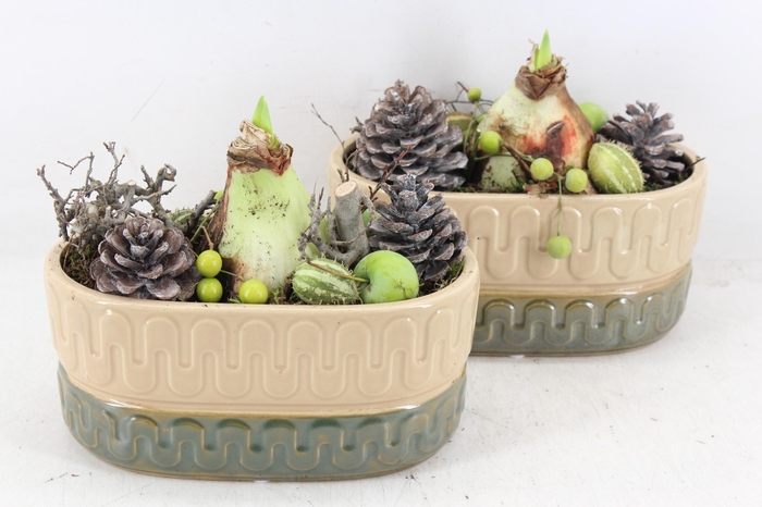 <h4>arr4 Amaryllis PL - Ker. groen/beige ovaal 335/4</h4>
