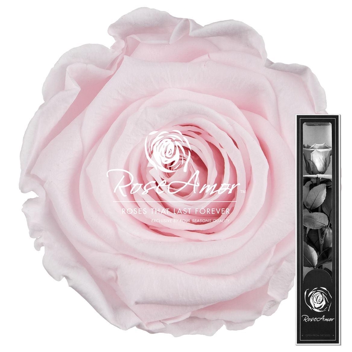 <h4>30cm Stem Pin89</h4>