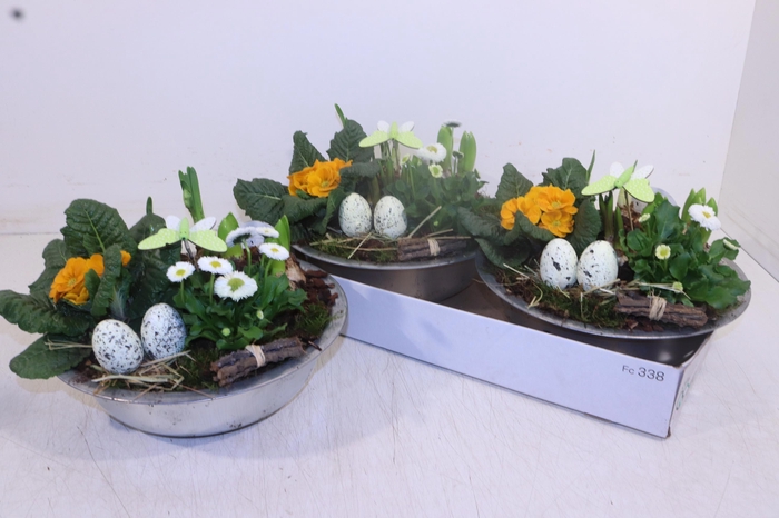 <h4>ARR TUINPLANTEN</h4>