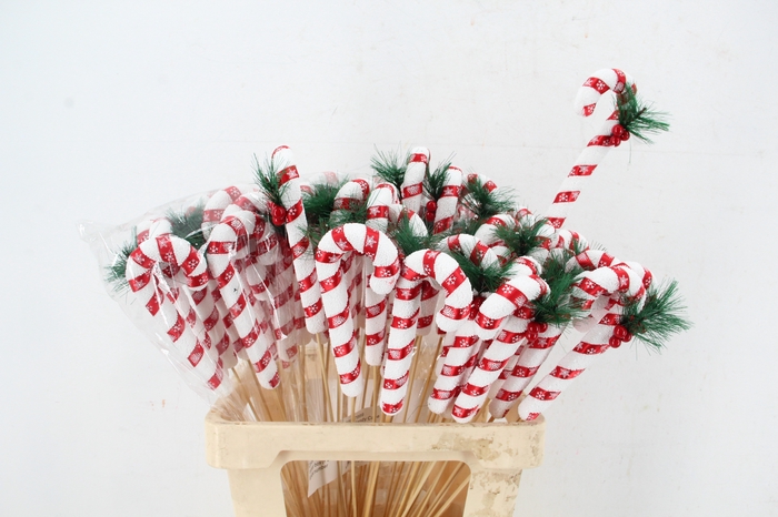 <h4>Stick Candy Cane Red/White</h4>