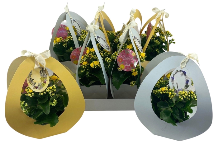 <h4>KAL GE GEM 2 KL</h4>