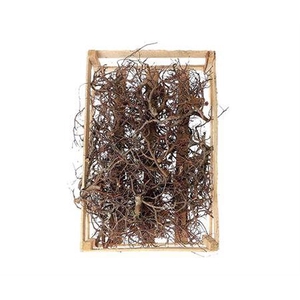 BONSAI WOOD NATUREL P CRATE