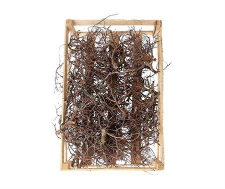 <h4>BONSAI WOOD NATUREL P CRATE</h4>