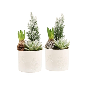 61692: X-mas arrangement