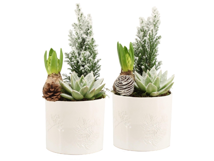 <h4>61692: X-mas arrangement</h4>