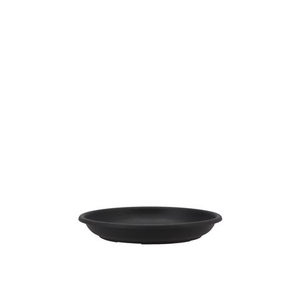 Floristry Plate 20cm P/10 Black