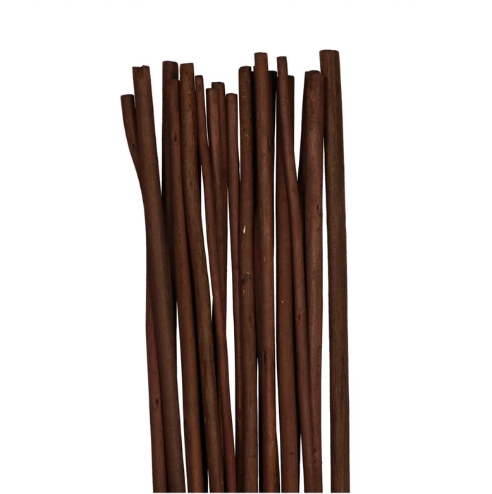 <h4>Dried articles Bamboostick 100cm x20</h4>