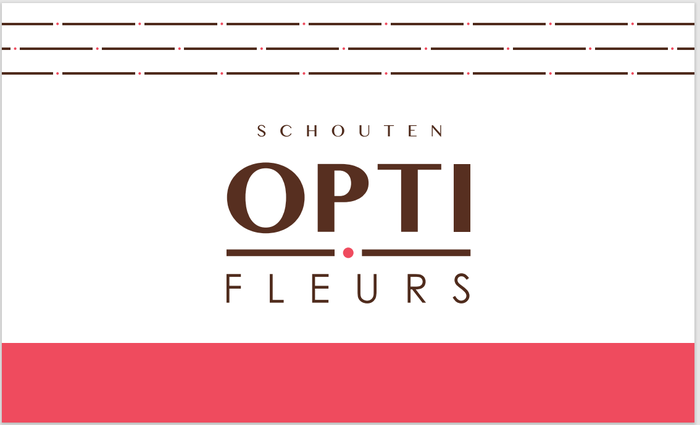 <h4>Germini Overig Germini Doos</h4>