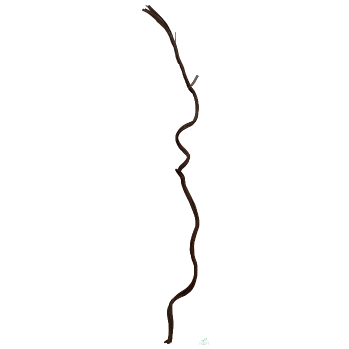 <h4>CIPO ROSCA 2-3CM X 2M NATURAL</h4>