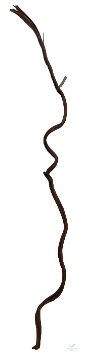 CIPO ROSCA 2-3CM X 2M NATURAL