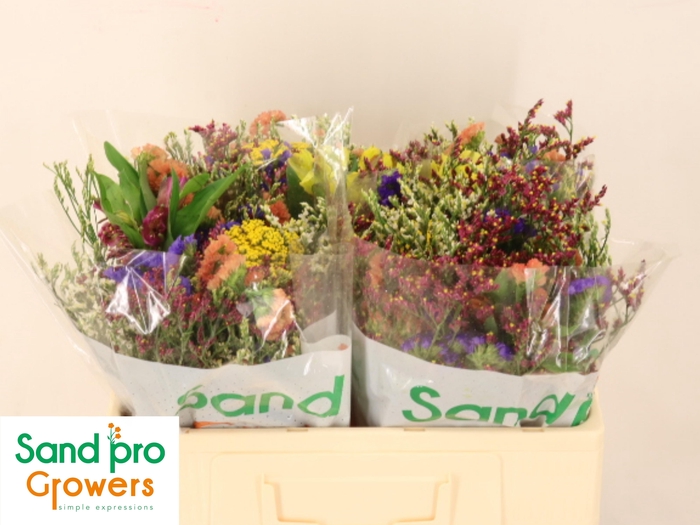 <h4>GEM ZOMERBOEKET</h4>