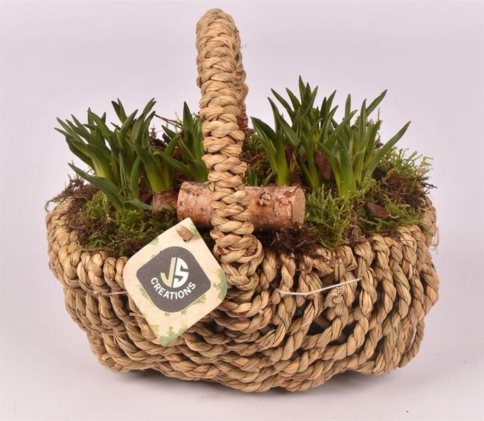 <h4>Wilg touwmand ovaal 20x15cm</h4>