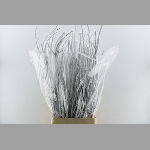 Berk Betula Snow 120cm