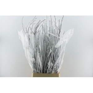 Berk Betula Snow 120cm