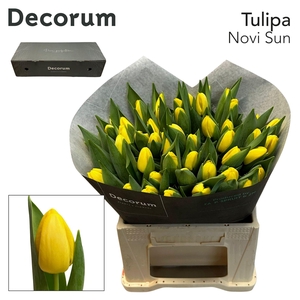 TU EN NOVI SUN Box L 200