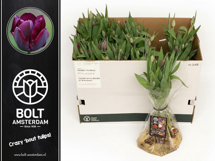 <h4>TU EN RONALDO</h4>