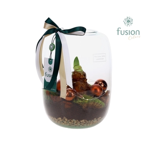 Green Bottle Isabella Large met Kerst Arrangement met LED