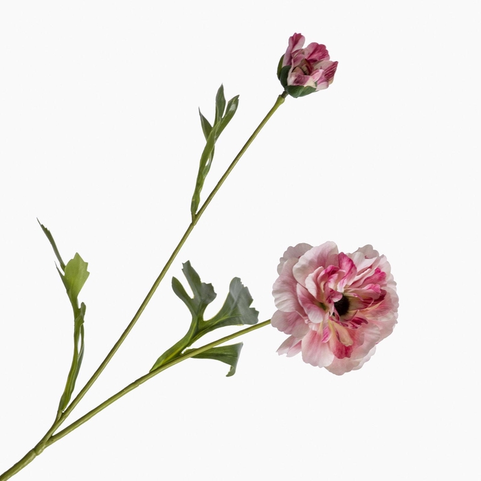 <h4>Ranunculus Spray DarkPink FL440297DPK</h4>