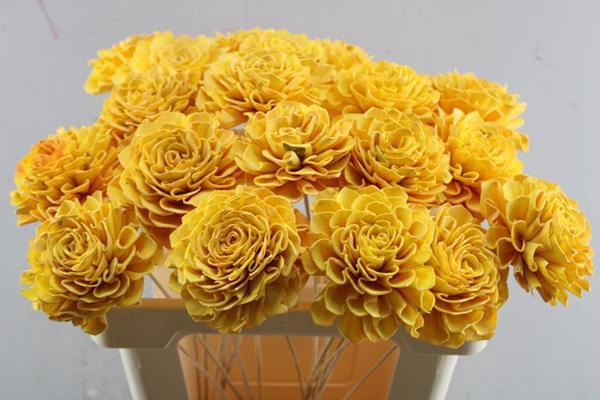 <h4>Droog Dahlia Yellow 10 Cm</h4>