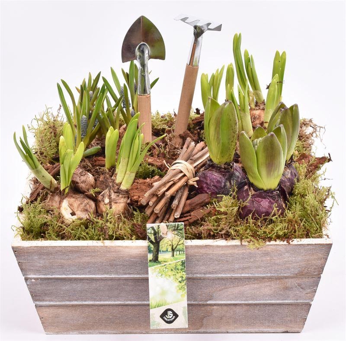 <h4>Hout Schaal 26x25xhoog 10cm</h4>