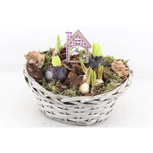 arr4 Bollenmix JS - Mand grijs ovaal L