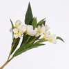Frangipani Spray Cream FL440284CRM