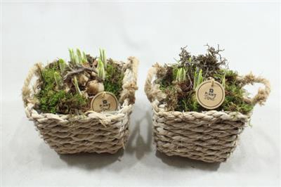 <h4>3437 Mand Vk Tete</h4>