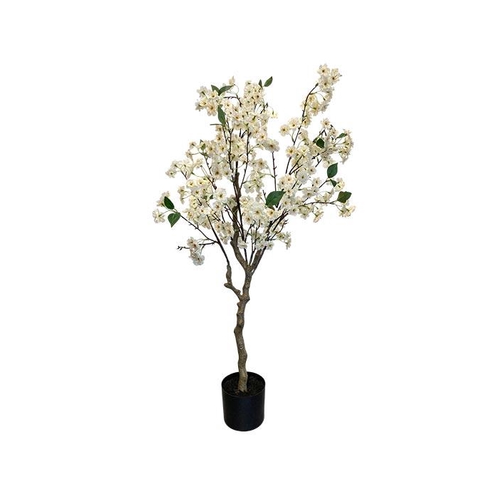 <h4>Plant Blossom Tree H120</h4>