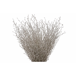 Berk 70cm Champagne Pbs
