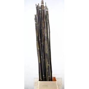 BAMBOE STOK BLACK 200CM