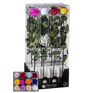 Display 60cm Stem Assorted