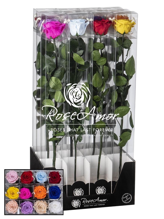 <h4>Display 60cm Stem Assorted</h4>