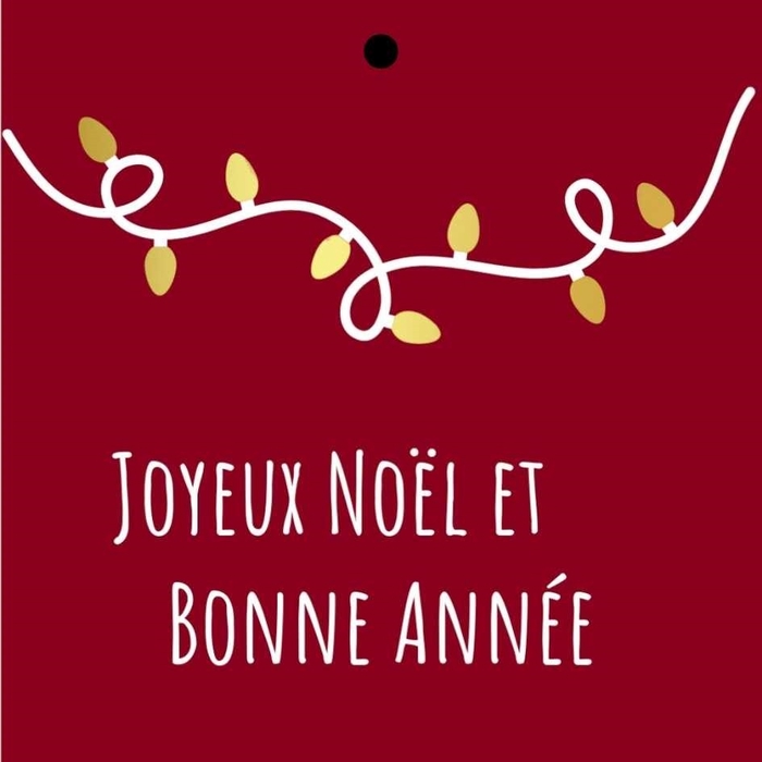<h4>Kerst Kaart 7*7cm x20 Bonne annee</h4>