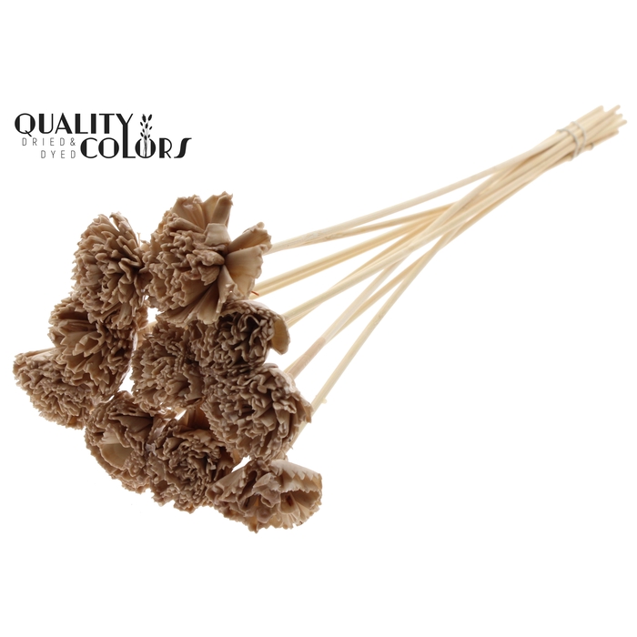 <h4>Shola Karnish Flower 6cm on stem Wax Beige</h4>