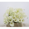 Calla Pure Art
