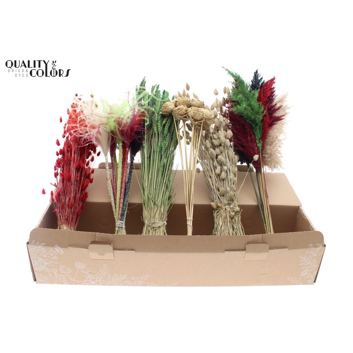 <h4>Various Driedflower Mix XMAS</h4>