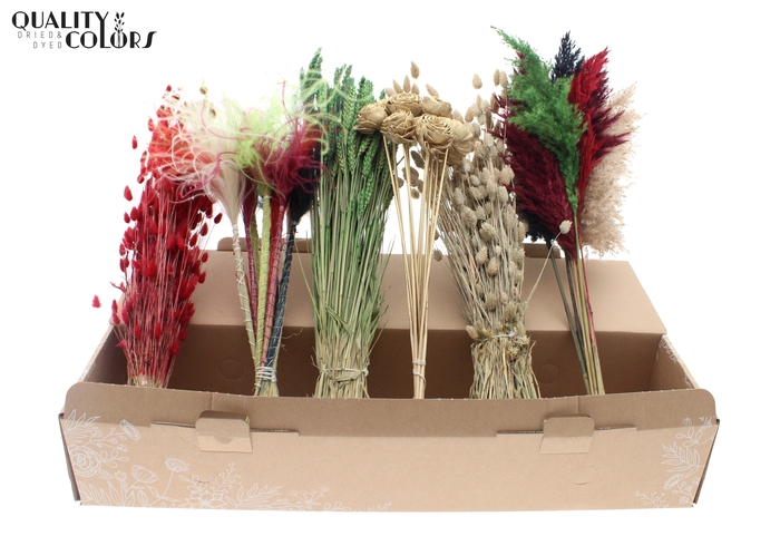 Various Driedflower Mix XMAS