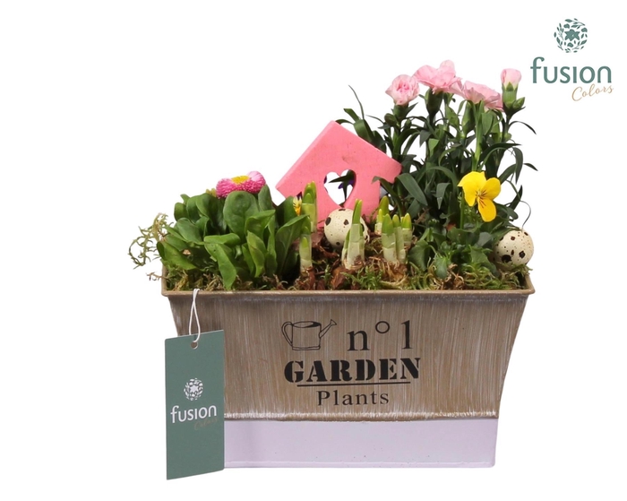 <h4>Pot zink paars Pasen met Arrangement</h4>