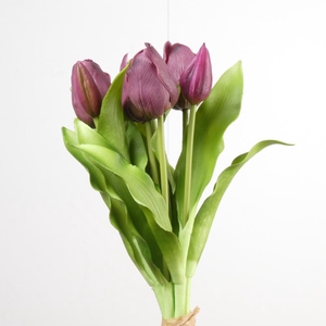 AF Tulip Bundle x7 L31cm Purpl