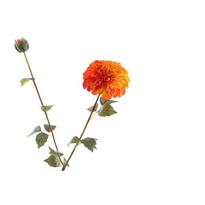 Dahlia Spray Orange FL440078ORA